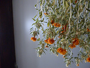 画像：店内風景